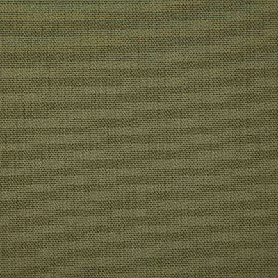 Pindler Callahan Juniper Fabric 2381
