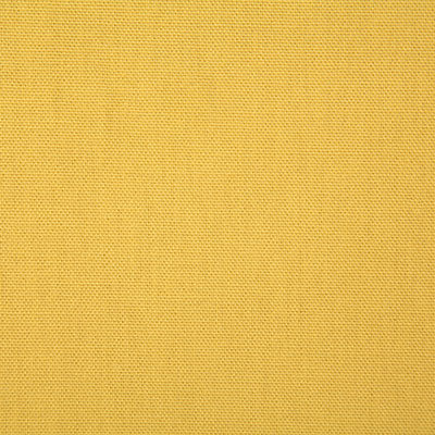 Pindler Callahan Lemon Fabric 2381