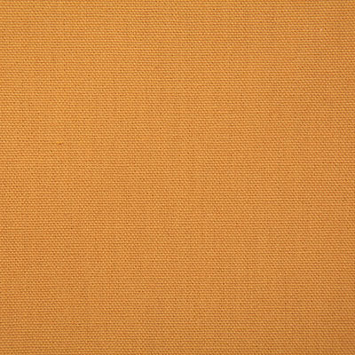 Pindler Callahan Mimosa Fabric 2381