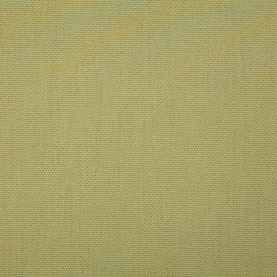 Pindler Callahan Olive Fabric 2381
