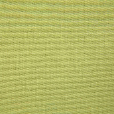 Pindler Callahan Parrot Fabric 2381