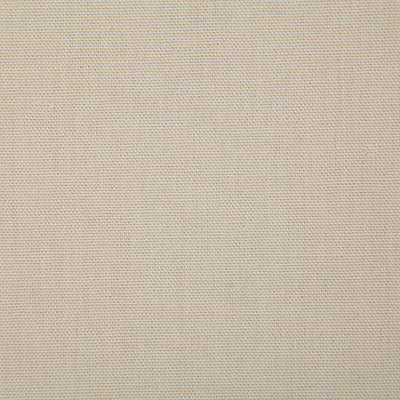 Pindler Callahan Pumice Fabric 2381