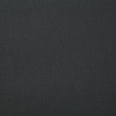 Pindler Callahan Storm Fabric 2381