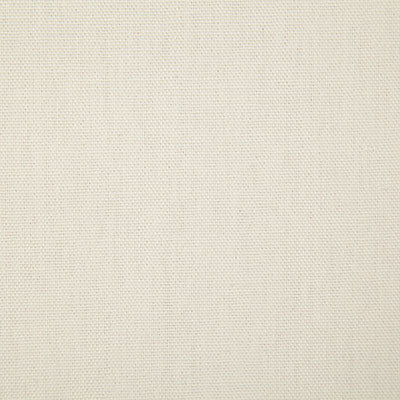 Pindler Callahan Tusk Fabric 2381