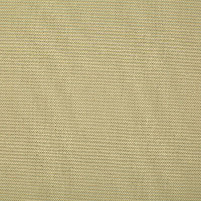 Pindler Callahan Willow Fabric 2381