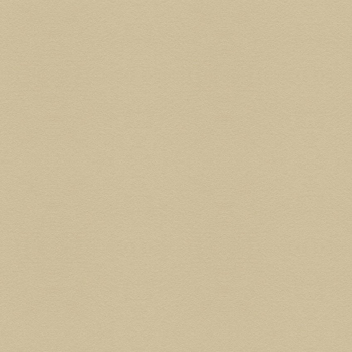 Kravet Design Ultrasuede Green Bisque Fabric Sample 30787.1.0