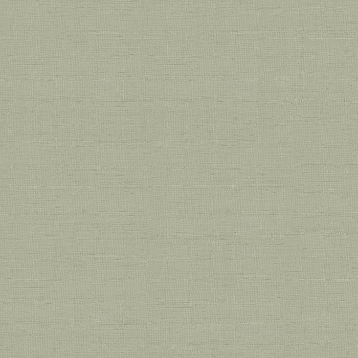 Schumacher Indochine Stone Fabric 3123011