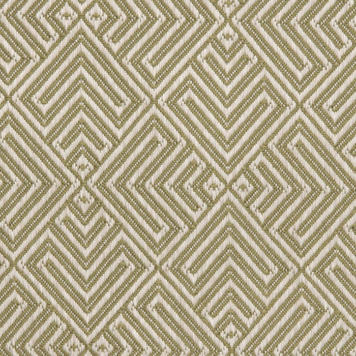 Holly Hunt Great Outdoors Journey Clover Fabric 325/03