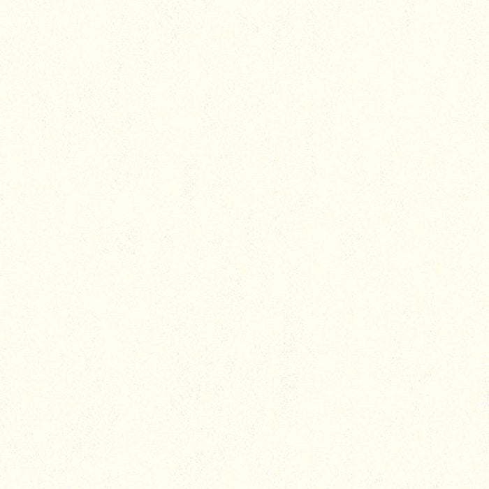 Kravet Basics Broadmoor Cloud Fabric Sample 32642.101.0