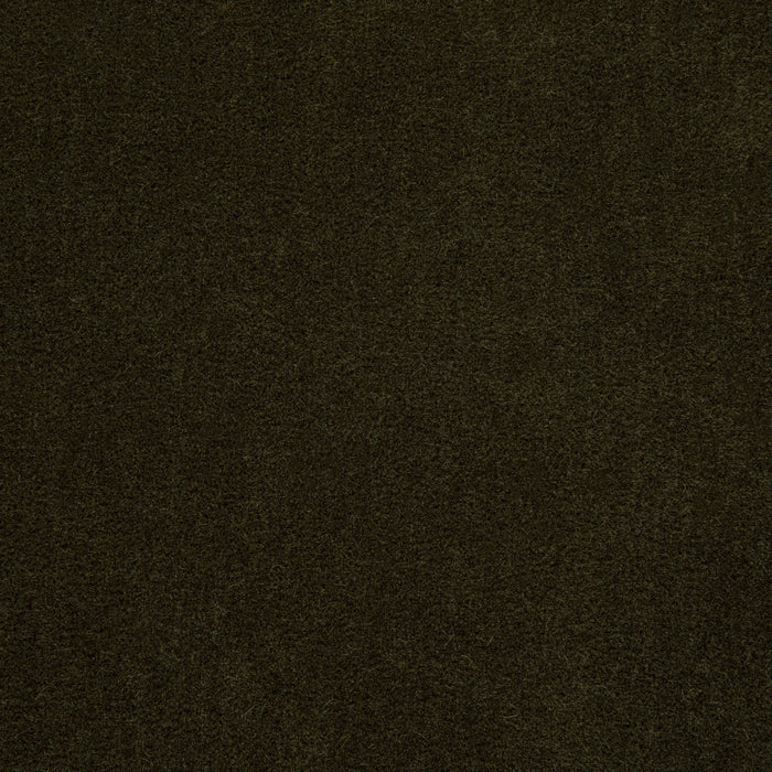 Holly Hunt Great Plains Alpaca Velvet Dark Palm Fabric 3287/19