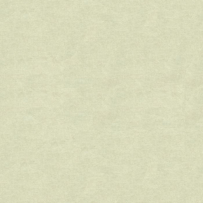 Brunschwig & Fils Charmant Velvet Oyster Fabric Sample 8013150.111.0