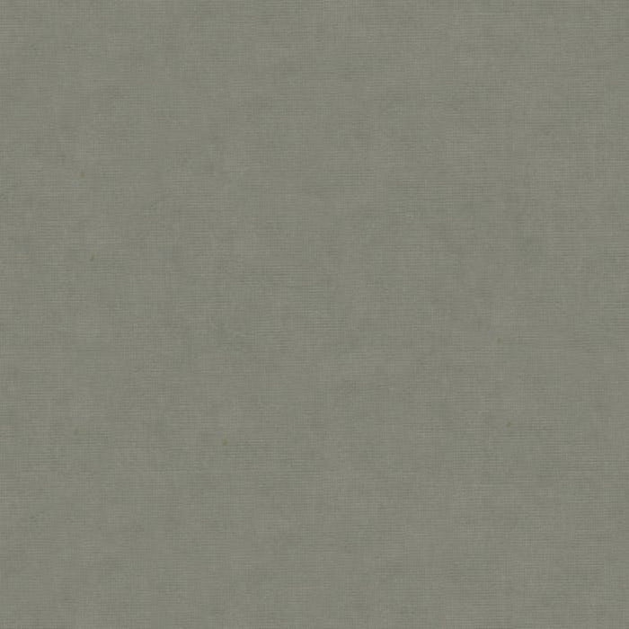 Brunschwig & Fils Charmant Velvet Pewter Fabric Sample 8013150.11.0