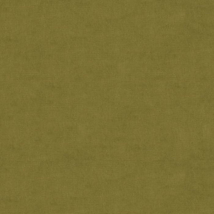 Brunschwig & Fils Charmant Velvet Olive Fabric Sample 8013150.130.0