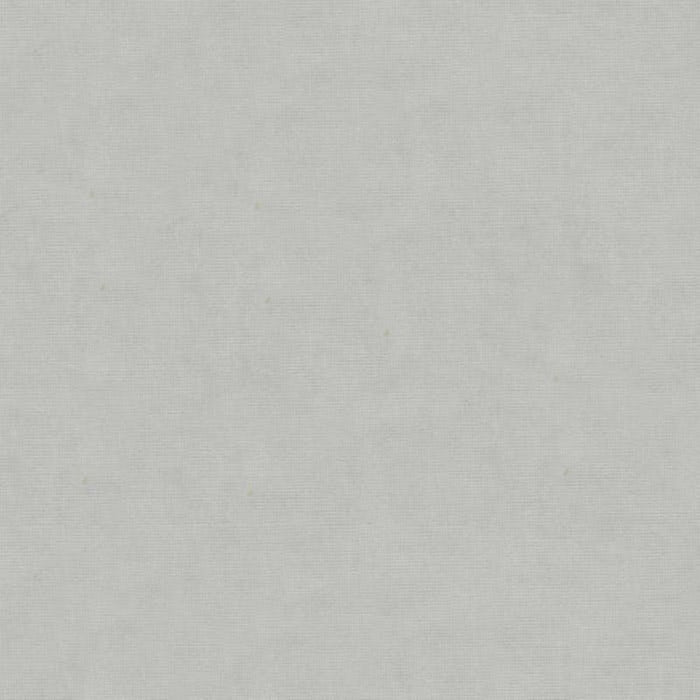 Brunschwig & Fils Charmant Velvet Silver Fabric Sample 8013150.511.0