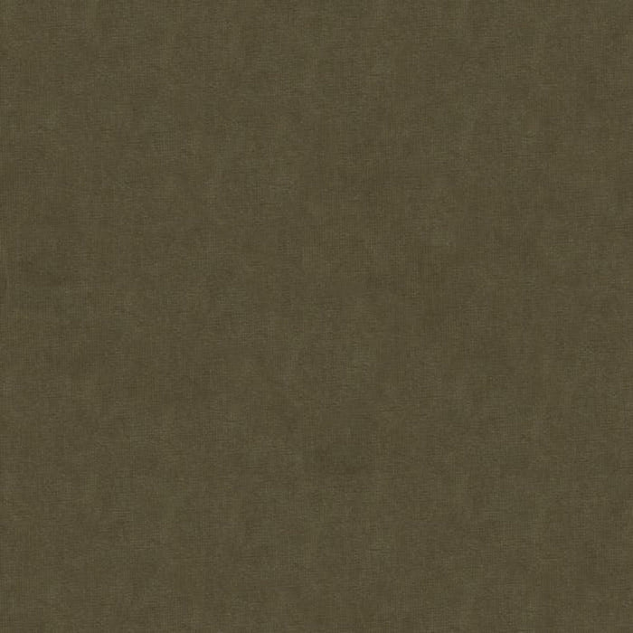 Brunschwig & Fils Charmant Velvet Ash Fabric Sample 8013150.611.0
