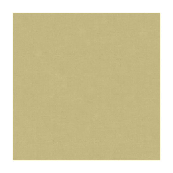 Kravet Couture Kravet Couture 33886-1106 Fabric Sample 33886.1106.0