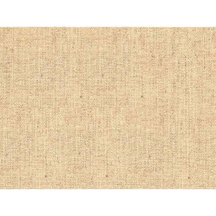 Kravet Smart 34300.1116.0 Fabric