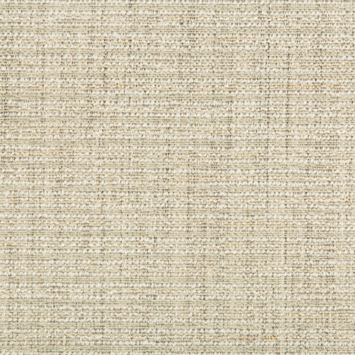 Kravet Smart 35396 1123 Fabric Sample 35396.1123.0