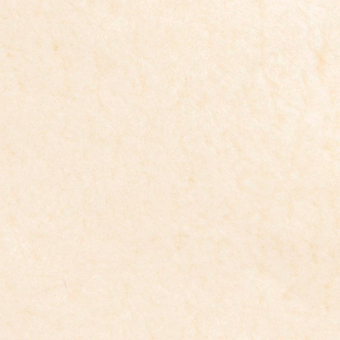 Holly Hunt Great Plains Shearling Winter White Fabric 3551/01