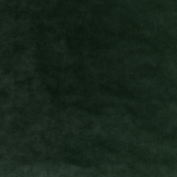 Kravet Couture Regal Velvet Sage Fabric Sample 36064.30.0