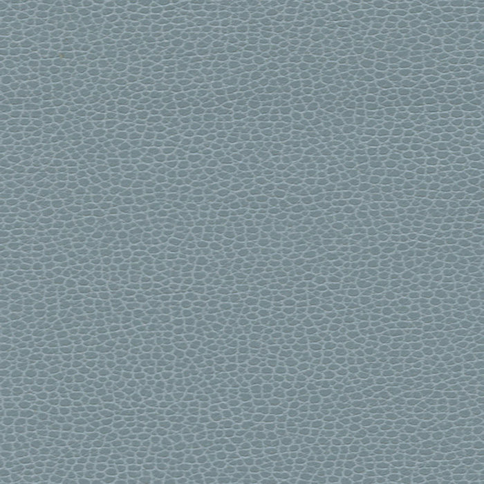 Schumacher Promessa Aquamarine Fabric Sample 363-2695