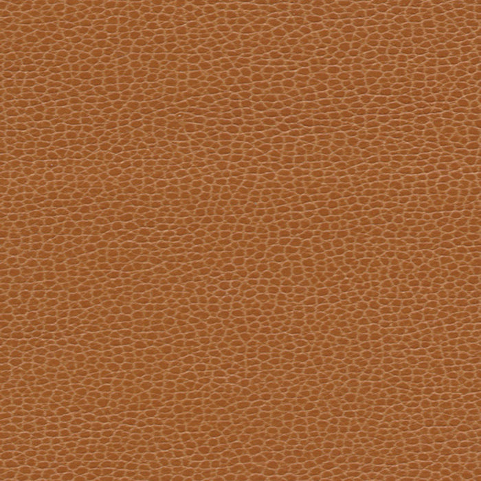 Schumacher Promessa Saddle Fabric 363-3140