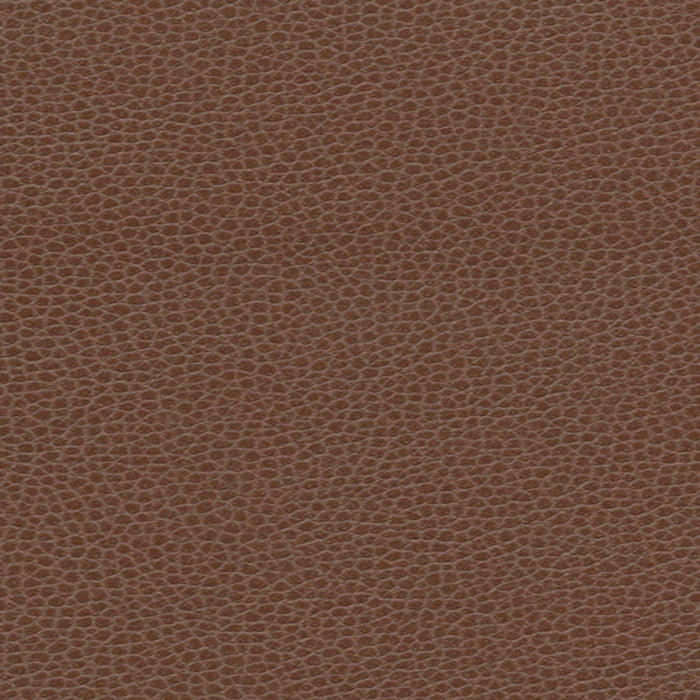 Schumacher Promessa Tudor Fabric 363-3143