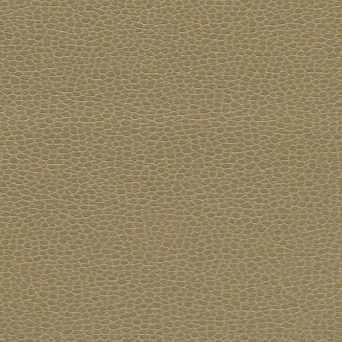Schumacher Promessa Briarwood Fabric 363-3148