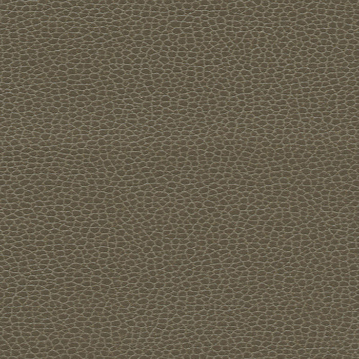 Schumacher Promessa Woodpecker Fabric 363-3462