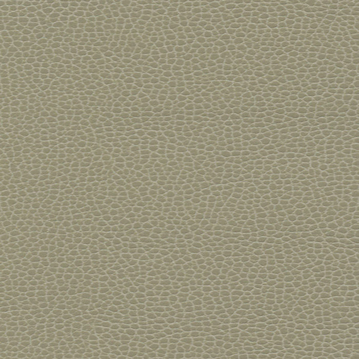 Schumacher Promessa Taupe Fabric 363-3463