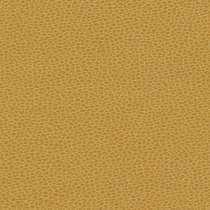 Schumacher Promessa Sunshower Fabric 363-5258