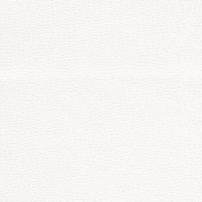 Schumacher Promessa Snow Fabric 363-5715