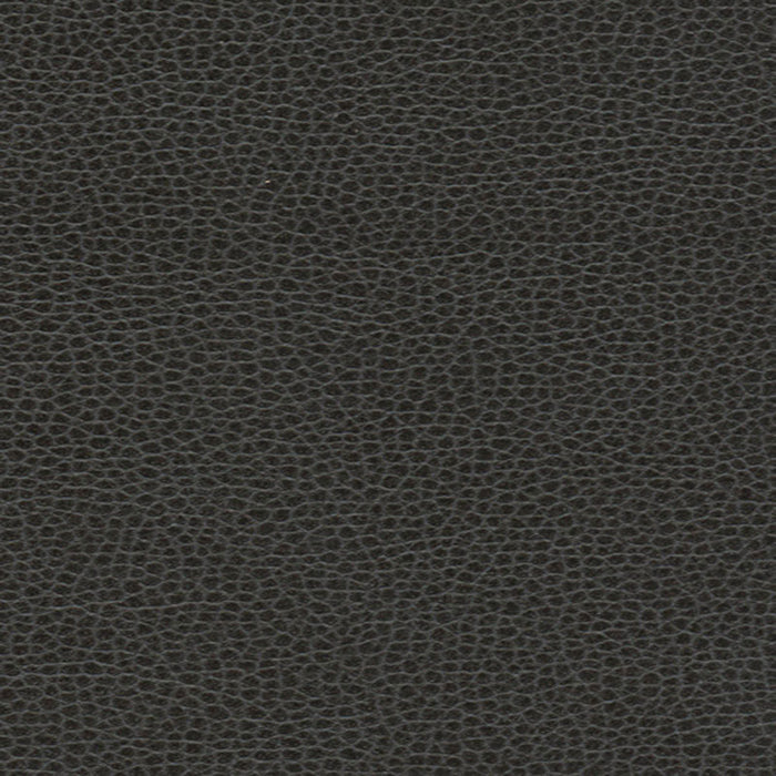 Schumacher Promessa Ebony Fabric 363-5845