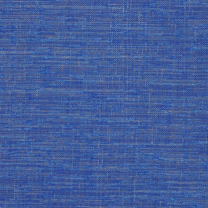 Designers Guild Cosia 1 Sample Sample FDG2267-01