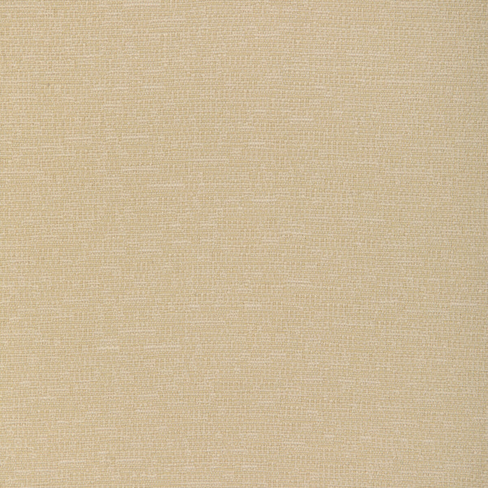 Kravet Smart 37352.116.0 Fabric Sample