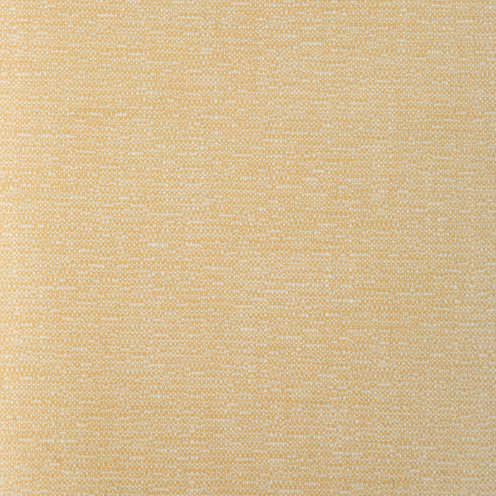 Kravet Smart 37352.40.0 Fabric Sample