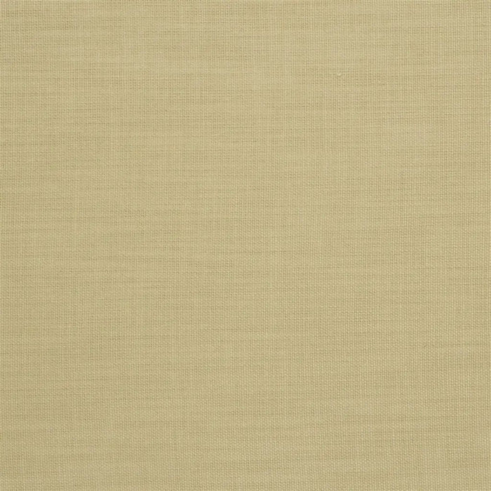 Designers Guild Orba 24 Sample Sample FDG2268-24