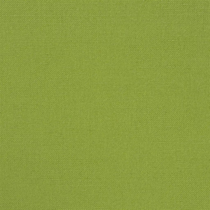 Designers Guild Manzoni 30 Sample Sample FDG2255-30