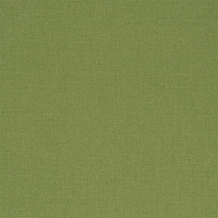 Designers Guild Manzoni 31 Sample Sample FDG2255-31