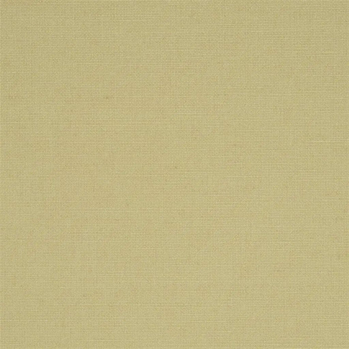 Designers Guild Manzoni 45 Sample Sample FDG2255-45