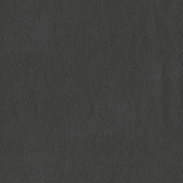 Brentano Terrain Almost Black Fabric Sample 3981-13