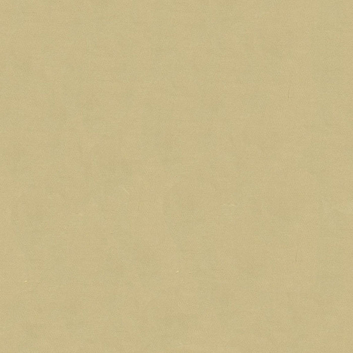 Kravet Design 4070 16 Fabric Sample 4070.16.0