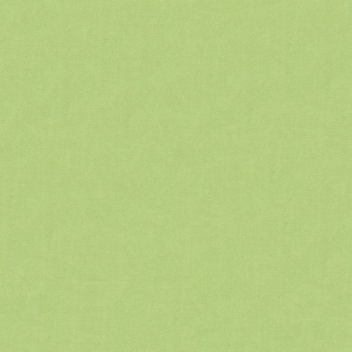 Kravet Design 4070 330 Fabric Sample 4070.330.0