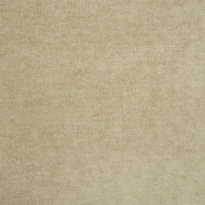 Designers Guild Zaragoza 41 Sample Sample FDG2333-41
