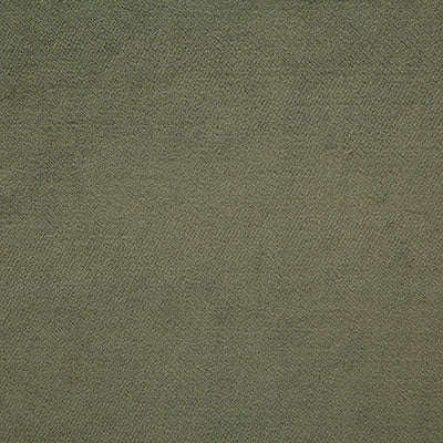 Pindler Amori Fern Fabric 4476