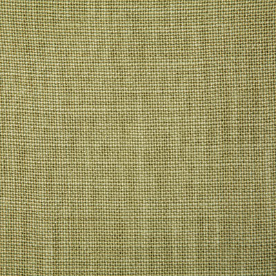 Pindler Fabienne Lime Fabric 4580
