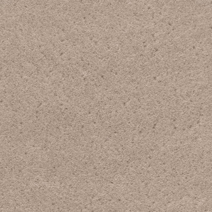Holly Hunt Great Plains Fuzzy Wuzzy Beached Fabric 4801/09