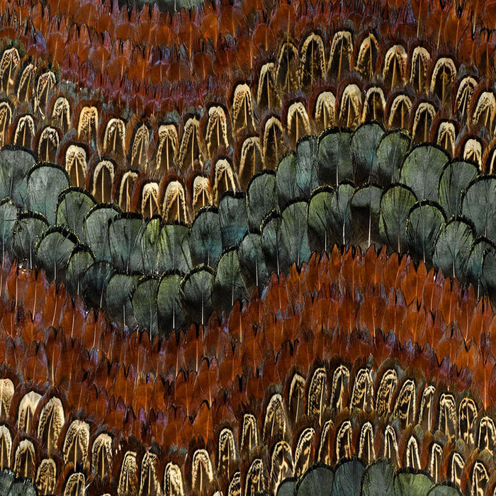 Schumacher Biscayne Peacock & Pheasant Wallpaper Sample 5003880