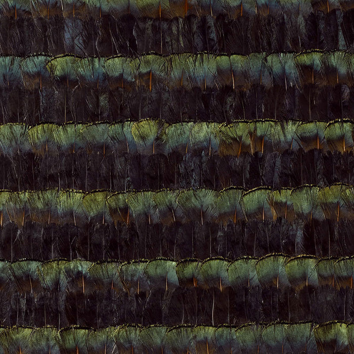 Schumacher Bradbury Malachite Wallpaper Sample 5004010
