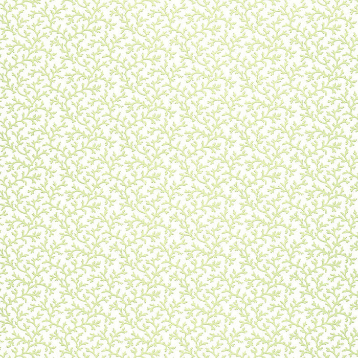 Schumacher Coral Vine Aloe Wallpaper Sample 5004412